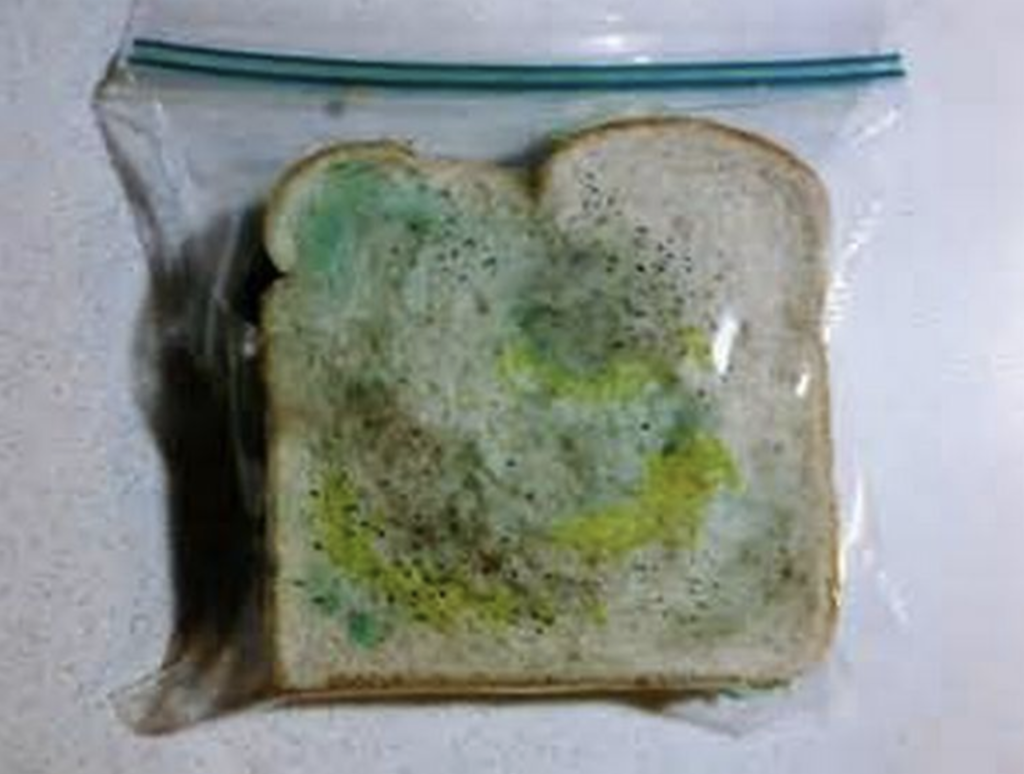 How to Prevent Getting Moldy Food in Your Home EntireWishes